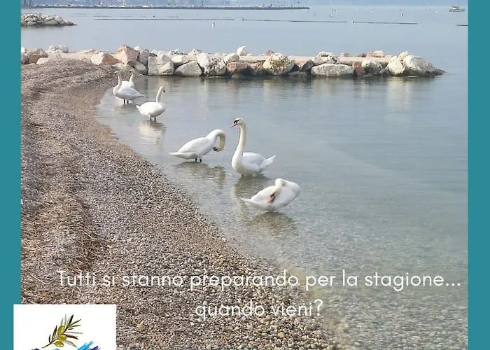 Pacengo Di Apartamento *